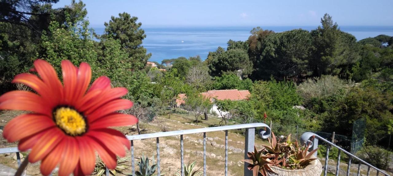 Casa Panoramica Bouganville SantʼAndrea Exterior foto